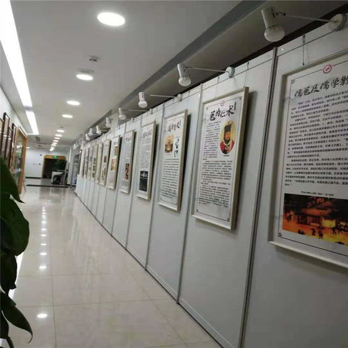 深圳展板出租價(jià)格及網(wǎng)絡(luò)科技領(lǐng)域技術(shù)開發(fā)支持服務(wù)概覽