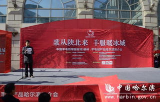 塞北暖絨南下冰城——首屆陜西榆林羊毛絨產(chǎn)品哈爾濱推介會圓滿舉行